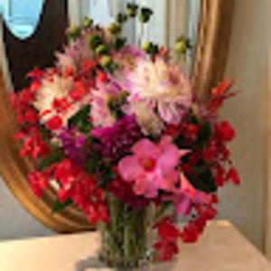 Meet your Posher, Julie